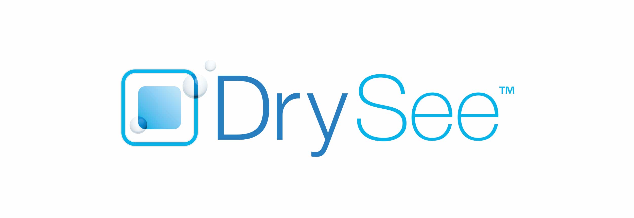 Dry See Logo Design for Printed Marketing Materials